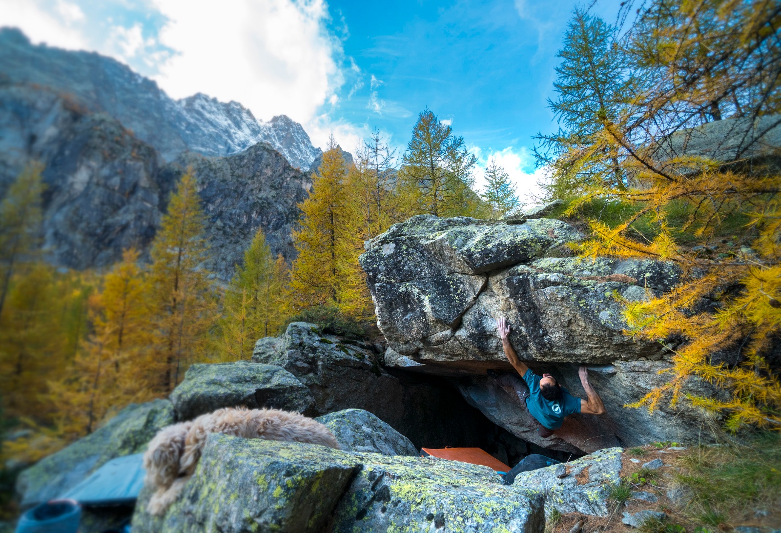 Ben   Cave en plein1